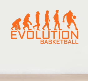 מדבקת קיר - אבולוציה - כדורסל