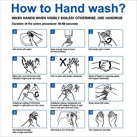 שלט - שטיפת ידיים נכונה - שלב אחר שלב - אנגלית