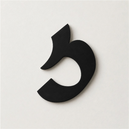ז'