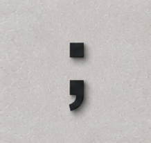 פסיק נקודה